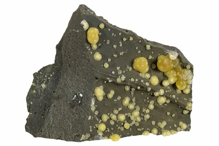 Globular Yellow Calcite Formations on Basalt - Italy #325615